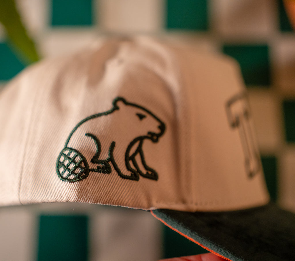 The Collab Snapback