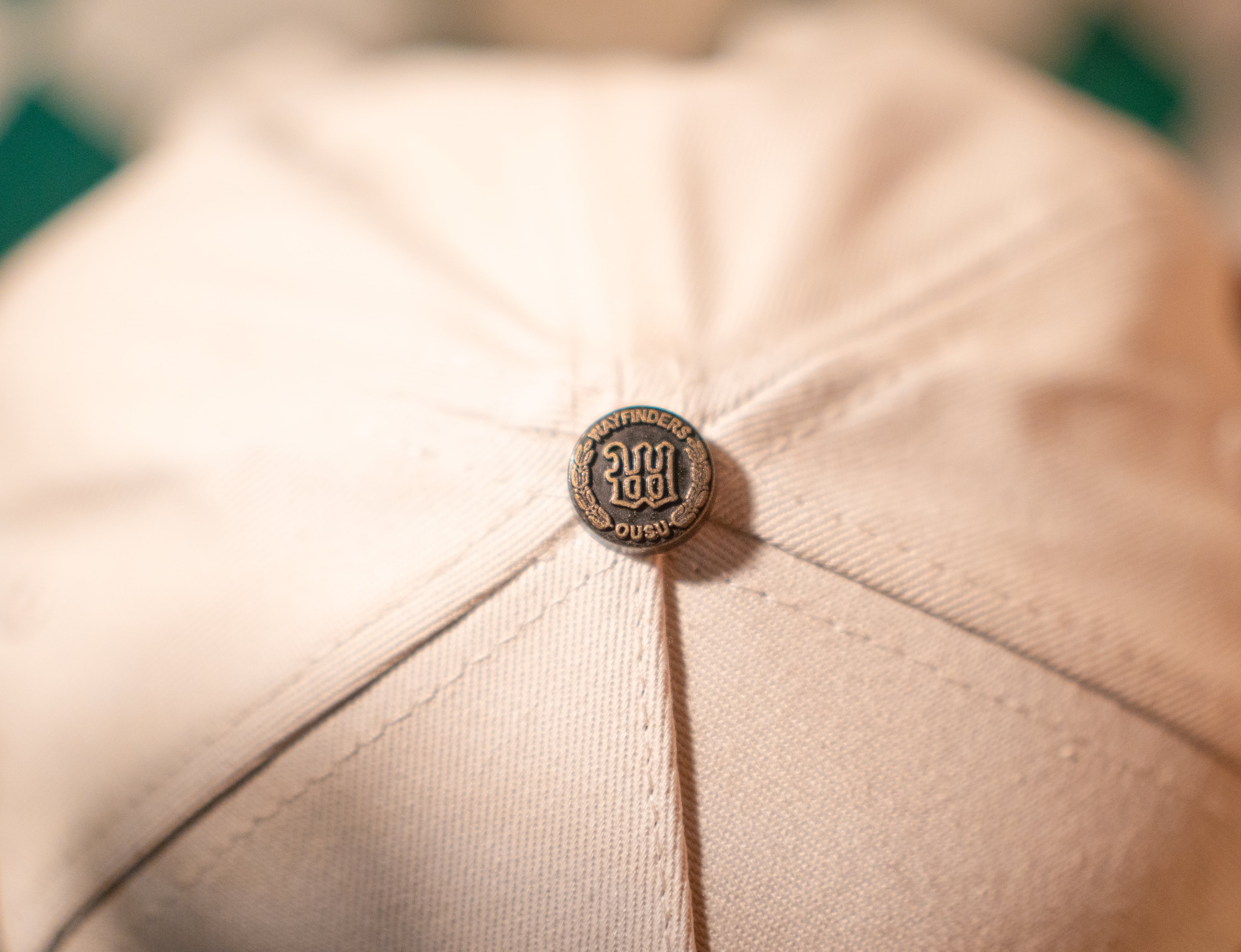 The Collab Snapback