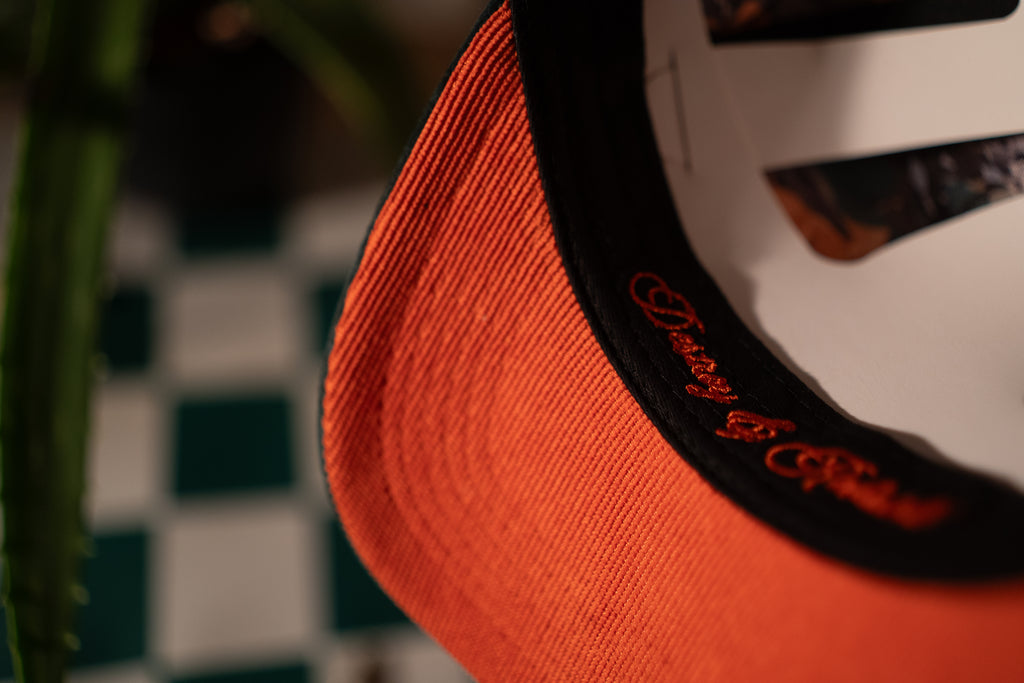 The Collab Snapback